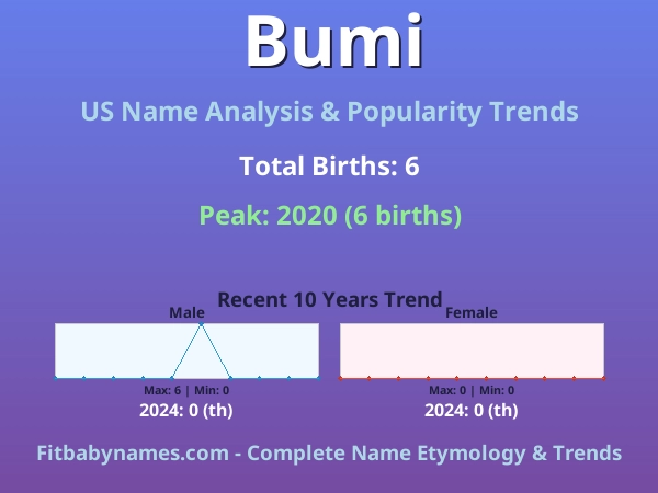 Infographic: Bumi name meaning, origin, and popularity trends in the United States (US baby name analysis chart)