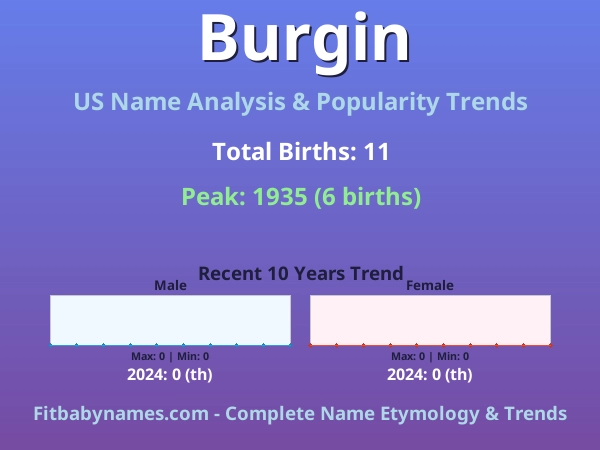 Infographic: Burgin name meaning, origin, and popularity trends in the United States (US baby name analysis chart)
