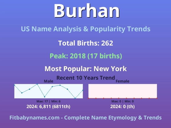 Infographic: Burhan name meaning, origin, and popularity trends in the United States (US baby name analysis chart)