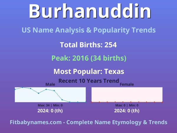 Infographic: Burhanuddin name meaning, origin, and popularity trends in the United States (US baby name analysis chart)