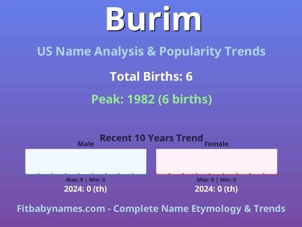 Infographic: Burim name meaning, origin, and popularity trends in the United States (US baby name analysis chart)