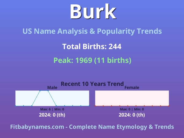 Infographic: Burk name meaning, origin, and popularity trends in the United States (US baby name analysis chart)