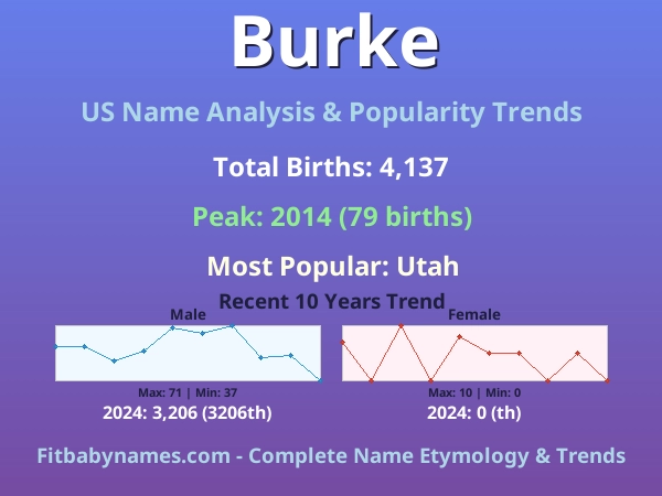 Infographic: Burke name meaning, origin, and popularity trends in the United States (US baby name analysis chart)