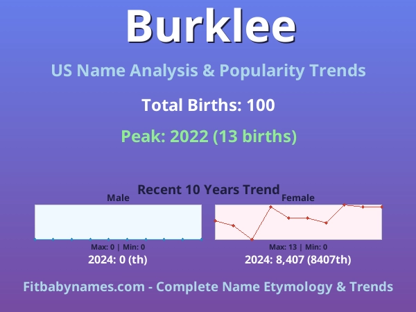 Infographic: Burklee name meaning, origin, and popularity trends in the United States (US baby name analysis chart)