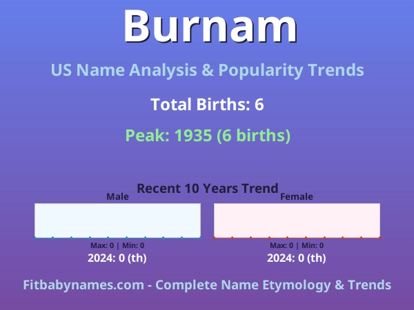 Infographic: Burnam name meaning, origin, and popularity trends in the United States (US baby name analysis chart)