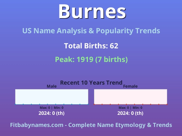 Infographic: Burnes name meaning, origin, and popularity trends in the United States (US baby name analysis chart)