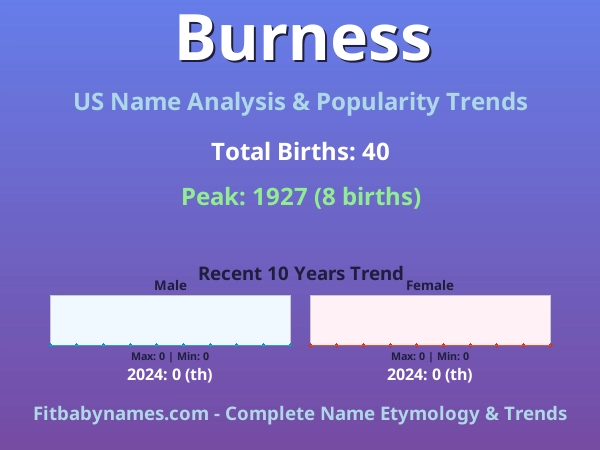 Infographic: Burness name meaning, origin, and popularity trends in the United States (US baby name analysis chart)