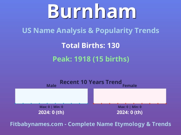 Infographic: Burnham name meaning, origin, and popularity trends in the United States (US baby name analysis chart)