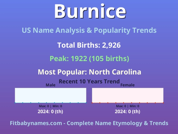 Infographic: Burnice name meaning, origin, and popularity trends in the United States (US baby name analysis chart)