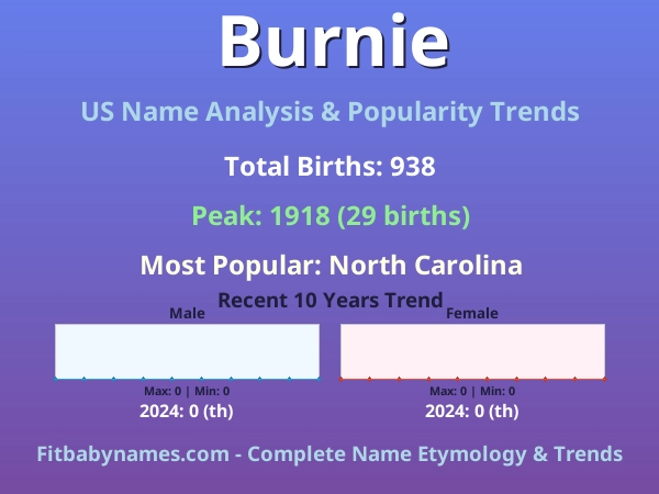 Infographic: Burnie name meaning, origin, and popularity trends in the United States (US baby name analysis chart)