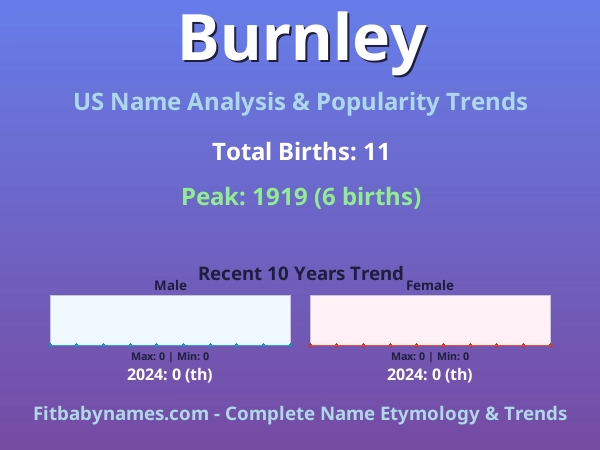 Infographic: Burnley name meaning, origin, and popularity trends in the United States (US baby name analysis chart)