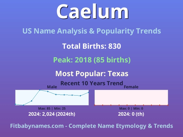 Infographic: Caelum name meaning, origin, and popularity trends in the United States (US baby name analysis chart)