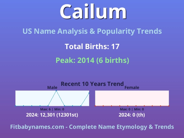 Infographic: Cailum name meaning, origin, and popularity trends in the United States (US baby name analysis chart)