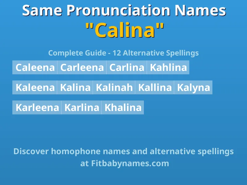 Infographic: Calina same pronunciation names, similar names, and homophone names