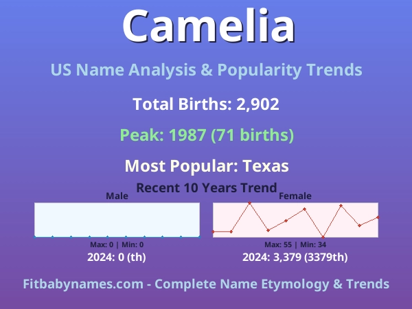 Infographic: Camelia name meaning, origin, and popularity trends in the United States (US baby name analysis chart)