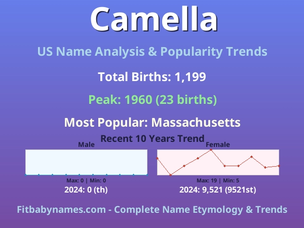 Infographic: Camella name meaning, origin, and popularity trends in the United States (US baby name analysis chart)