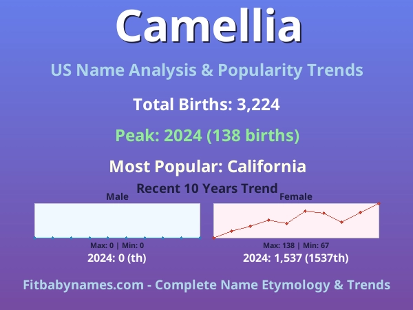 Infographic: Camellia name meaning, origin, and popularity trends in the United States (US baby name analysis chart)