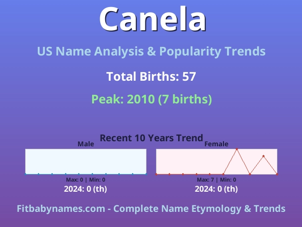 Infographic: Canela name meaning, origin, and popularity trends in the United States (US baby name analysis chart)