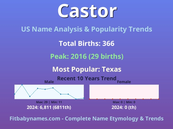 Infographic: Castor name meaning, origin, and popularity trends in the United States (US baby name analysis chart)