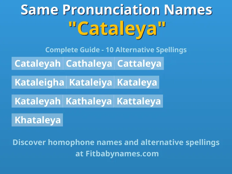 Infographic: Cataleya same pronunciation names, similar names, and homophone names