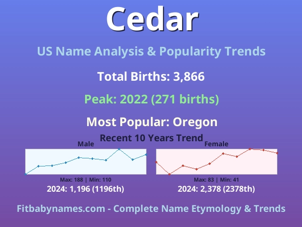 Infographic: Cedar name meaning, origin, and popularity trends in the United States (US baby name analysis chart)