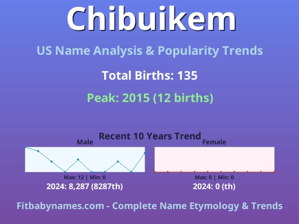 Infographic: Chibuikem name meaning, origin, and popularity trends in the United States (US baby name analysis chart)
