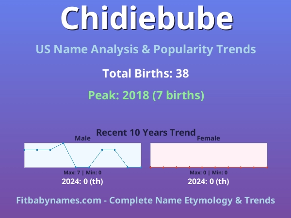 Infographic: Chidiebube name meaning, origin, and popularity trends in the United States (US baby name analysis chart)