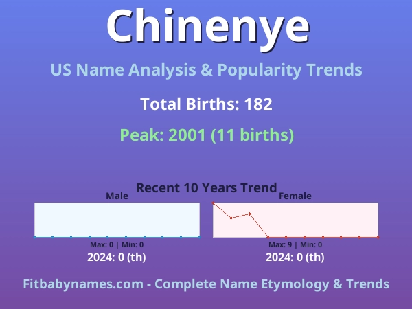 Infographic: Chinenye name meaning, origin, and popularity trends in the United States (US baby name analysis chart)