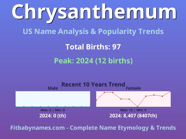 Infographic: Chrysanthemum name meaning, origin, and popularity trends in the United States (US baby name analysis chart)