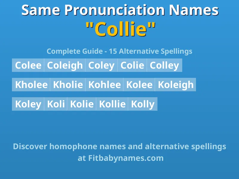 Infographic: Collie same pronunciation names, similar names, and homophone names
