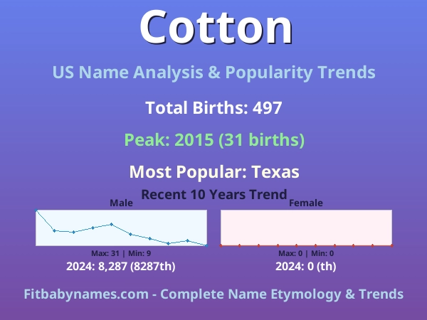 Infographic: Cotton name meaning, origin, and popularity trends in the United States (US baby name analysis chart)