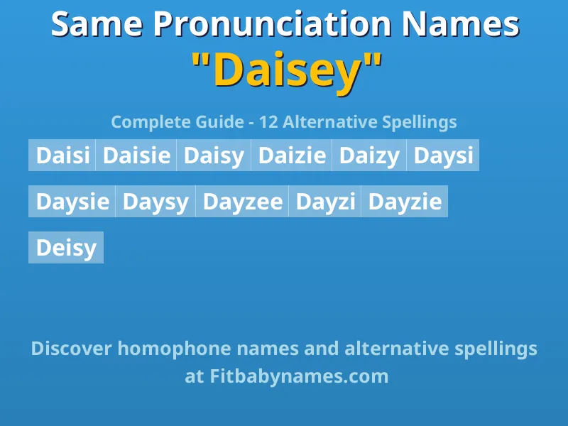 Infographic: Daisey same pronunciation names, similar names, and homophone names