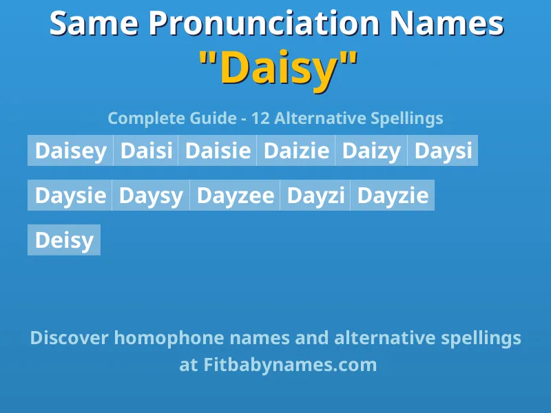 Infographic: Daisy same pronunciation names, similar names, and homophone names