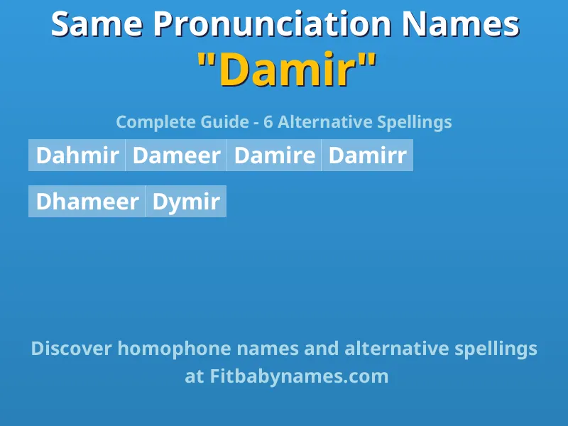 Infographic: Damir same pronunciation names, similar names, and homophone names