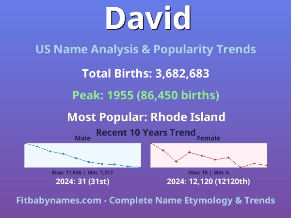 Infographic: David name meaning, origin, and popularity trends in the United States (US baby name analysis chart)