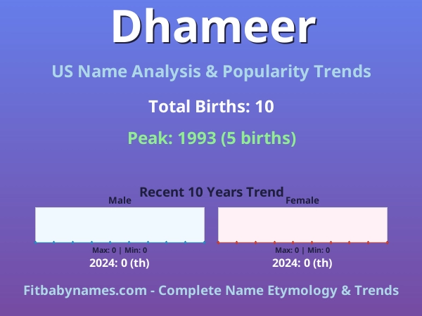 Infographic: Dhameer name meaning, origin, and popularity trends in the United States (US baby name analysis chart)