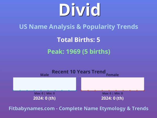 Infographic: Divid name meaning, origin, and popularity trends in the United States (US baby name analysis chart)