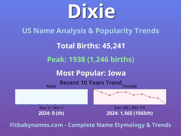Infographic: Dixie name meaning, origin, and popularity trends in the United States (US baby name analysis chart)