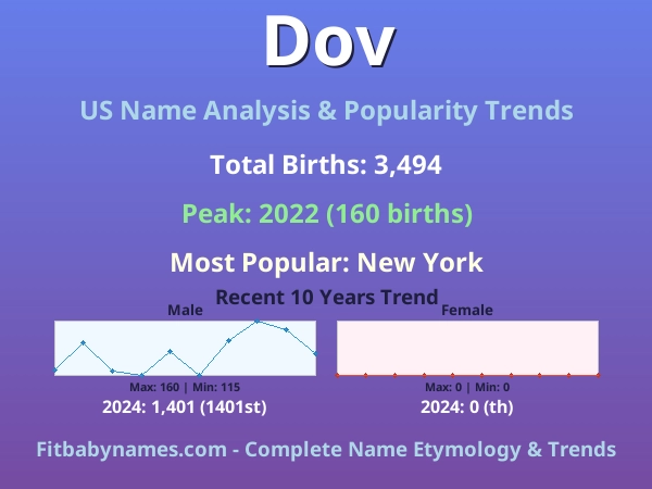 Infographic: Dov name meaning, origin, and popularity trends in the United States (US baby name analysis chart)