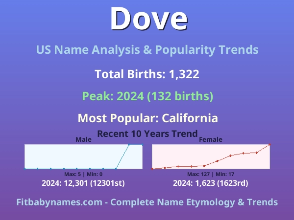 Infographic: Dove name meaning, origin, and popularity trends in the United States (US baby name analysis chart)