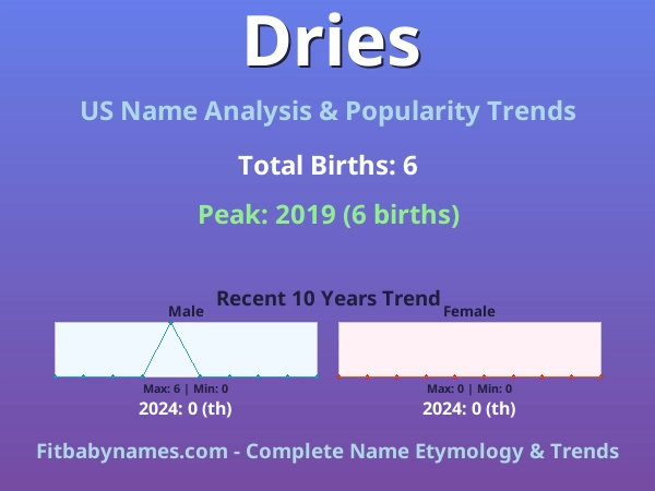 Infographic: Dries name meaning, origin, and popularity trends in the United States (US baby name analysis chart)