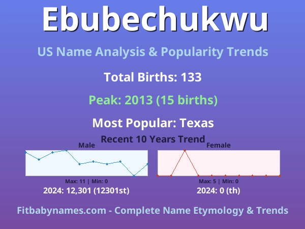 Infographic: Ebubechukwu name meaning, origin, and popularity trends in the United States (US baby name analysis chart)