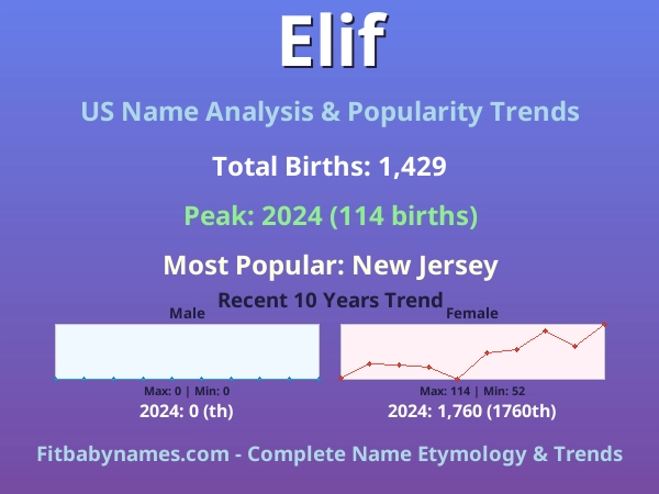 Infographic: Elif name meaning, origin, and popularity trends in the United States (US baby name analysis chart)