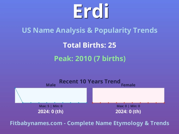 Infographic: Erdi name meaning, origin, and popularity trends in the United States (US baby name analysis chart)