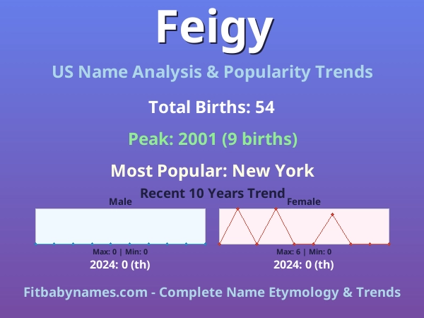 Infographic: Feigy name meaning, origin, and popularity trends in the United States (US baby name analysis chart)