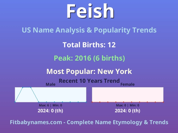 Infographic: Feish name meaning, origin, and popularity trends in the United States (US baby name analysis chart)