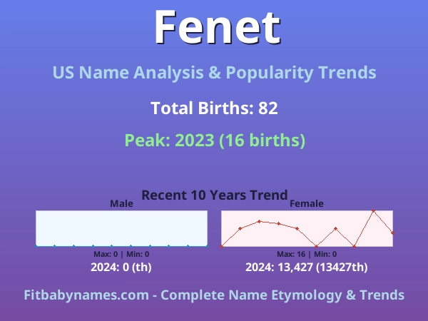 Infographic: Fenet name meaning, origin, and popularity trends in the United States (US baby name analysis chart)