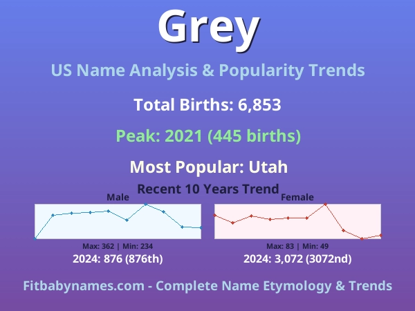 Infographic: Grey name meaning, origin, and popularity trends in the United States (US baby name analysis chart)