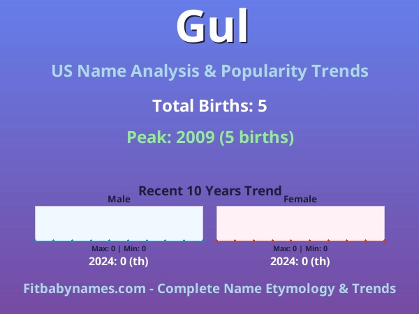 Infographic: Gul name meaning, origin, and popularity trends in the United States (US baby name analysis chart)