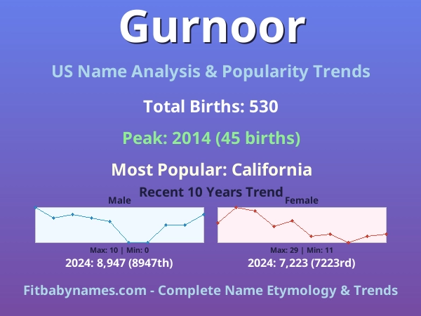 Infographic: Gurnoor name meaning, origin, and popularity trends in the United States (US baby name analysis chart)